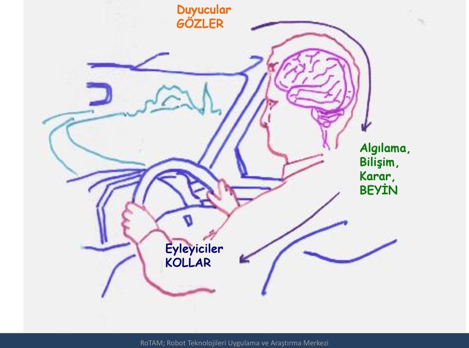 Eyleyiciler KOLLAR RoTAM; Robot