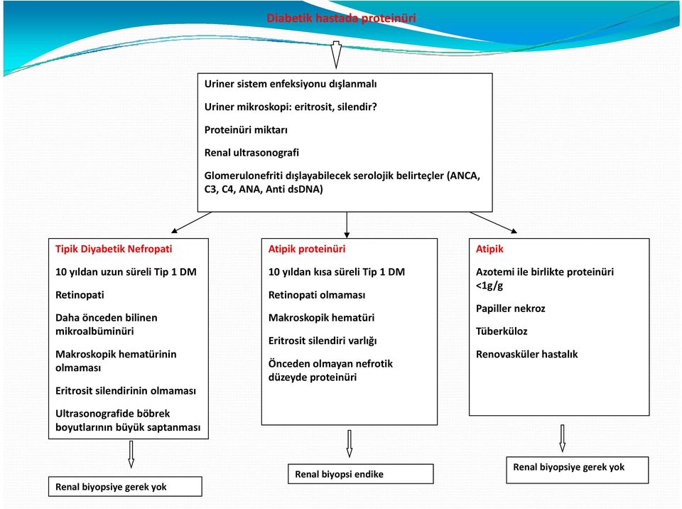 süreli Tip 1 DM Retinopati Daha önceden bilinen mikroalbüminüri Makroskopik hematürinin olmaması Eritrosit silendirinin olmaması Ultrasonografide böbrek boyutlarının büyük saptanması 10 yıldan