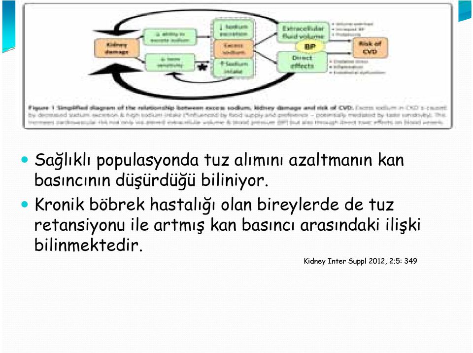 i Kronik böbrek hastalığı olan bireylerde de tuz