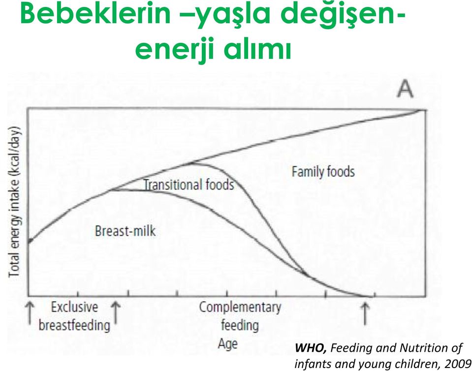 and Nutrition of infants