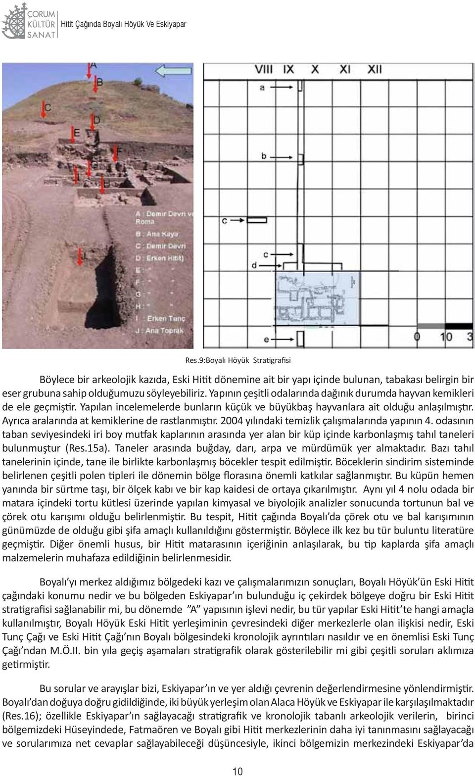 Yapının çeşitli odalarında dağınık durumda hayvan kemikleri de ele geçmiştir. Yapılan incelemelerde bunların küçük ve büyükbaş hayvanlara ait olduğu anlaşılmıştır.