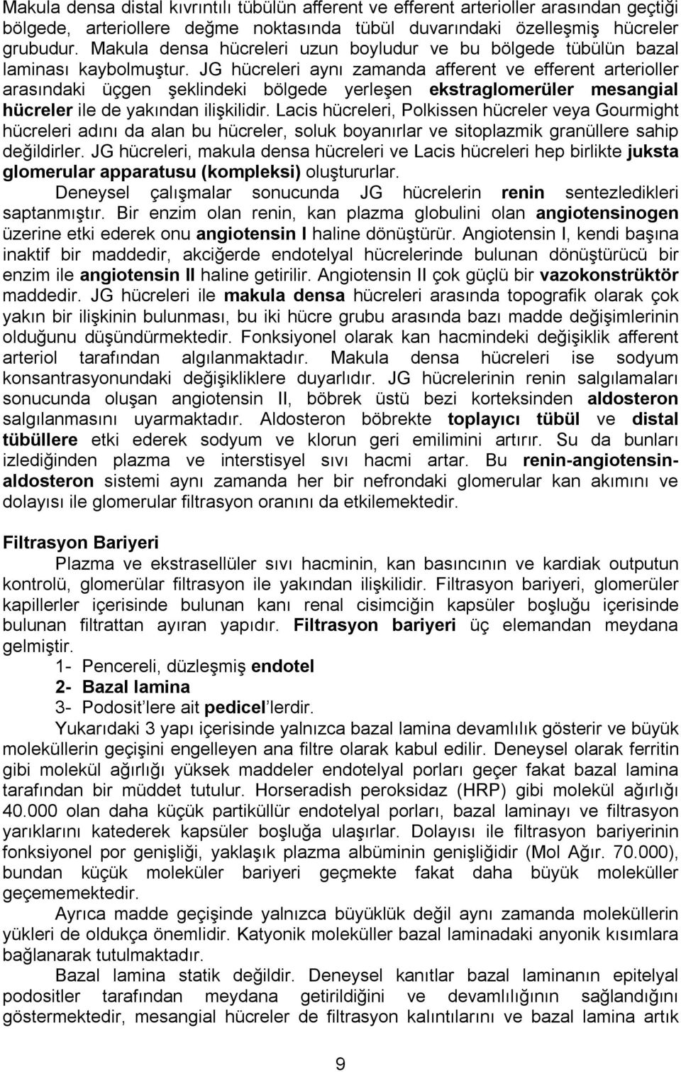 JG hücreleri aynı zamanda afferent ve efferent arterioller arasındaki üçgen şeklindeki bölgede yerleşen ekstraglomerüler mesangial hücreler ile de yakından ilişkilidir.