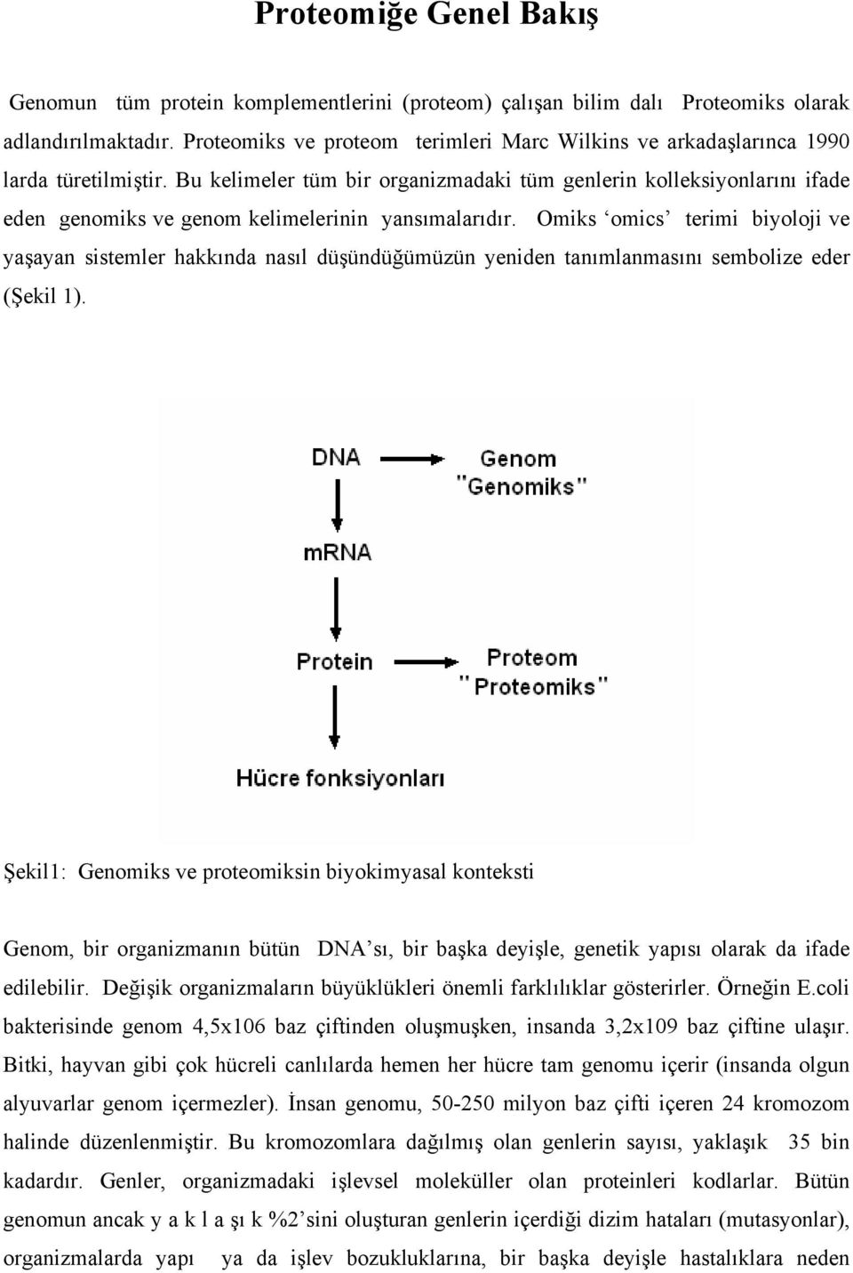 Bu kelimeler tüm bir organizmadaki tüm genlerin kolleksiyonlarını ifade eden genomiks ve genom kelimelerinin yansımalarıdır.