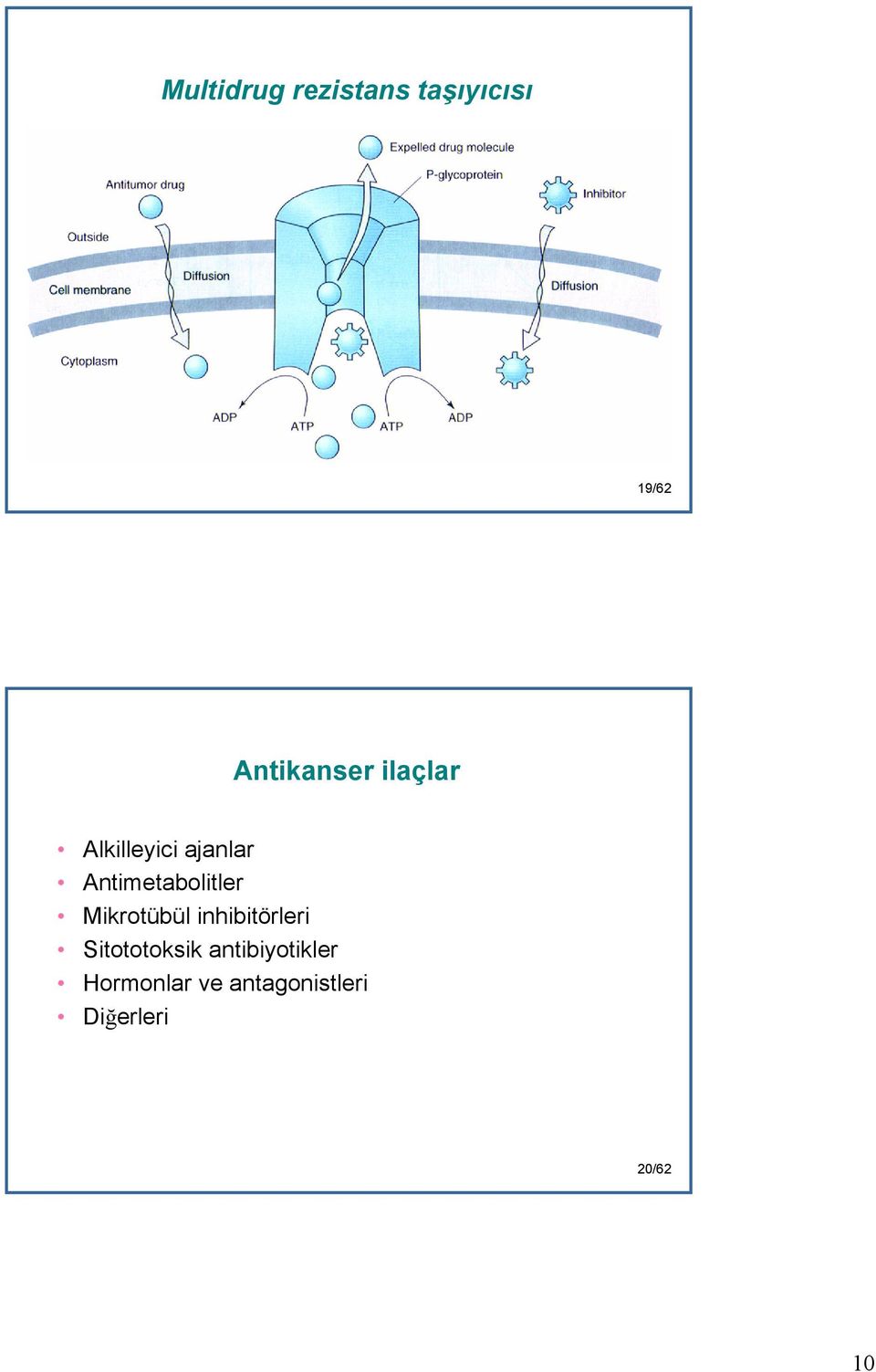 Mikrotübül inhibitörleri Sitototoksik