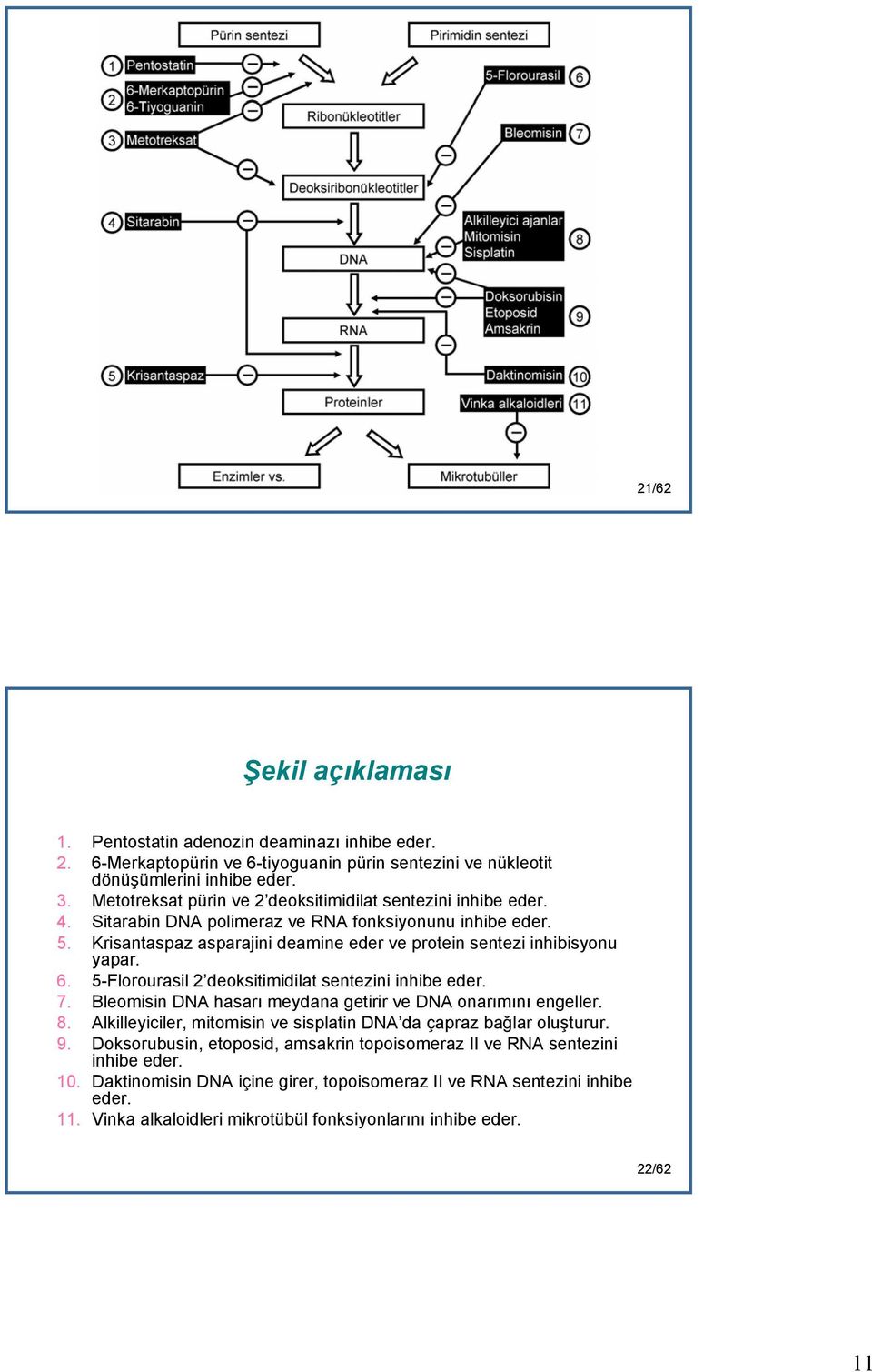 6. 5-Florourasil 2 deoksitimidilat sentezini inhibe eder. 7. Bleomisin DNA hasarı meydana getirir ve DNA onarımını engeller. 8. Alkilleyiciler, mitomisin ve sisplatin DNA da çapraz bağlar oluşturur.