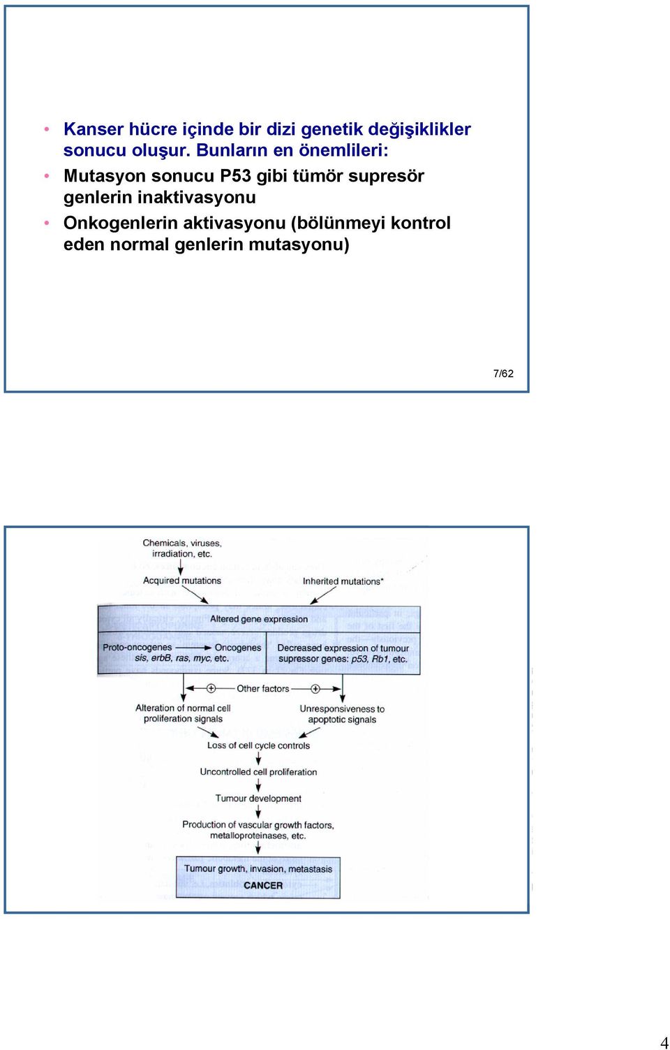 Bunların en önemlileri: Mutasyon sonucu P53 gibi tümör