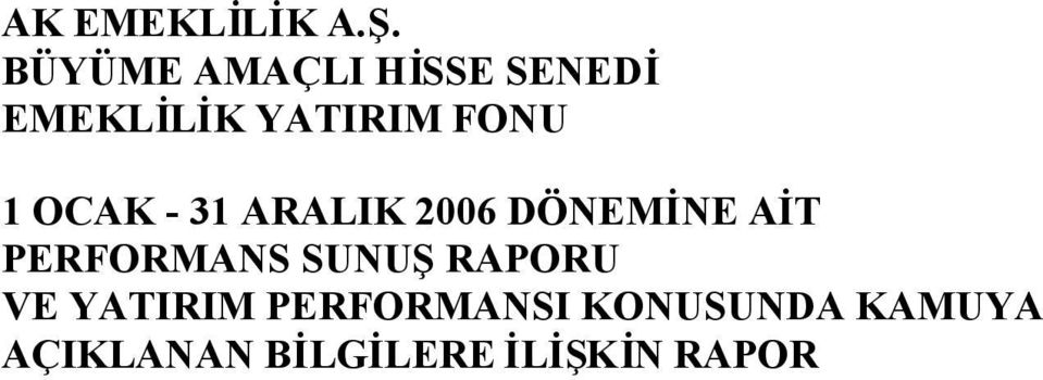 1 OCAK - 31 ARALIK 2006 DÖNEMİNE AİT PERFORMANS