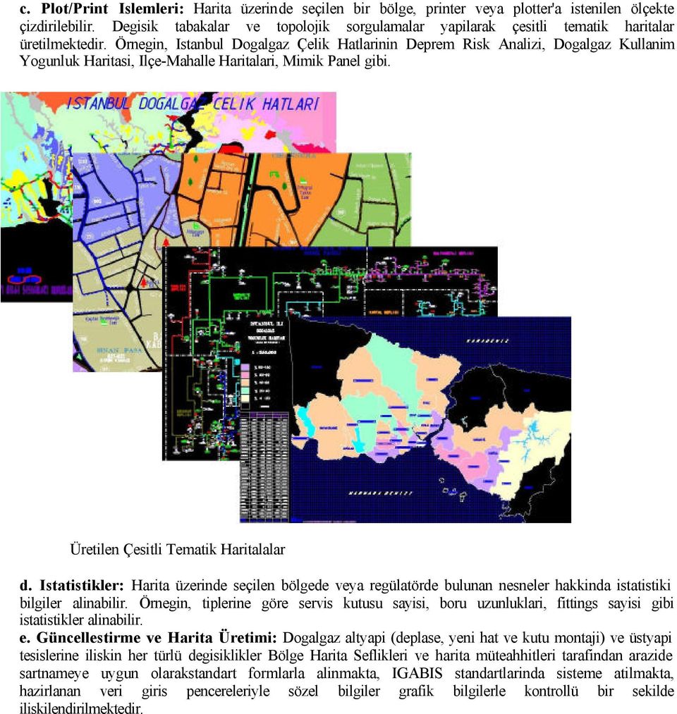 Örnegin, Istanbul Dogalgaz Çelik Hatlarinin Deprem Risk Analizi, Dogalgaz Kullanim Yogunluk Haritasi, Ilçe-Mahalle Haritalari, Mimik Panel gibi. Üretilen Çesitli Tematik Haritalalar d.