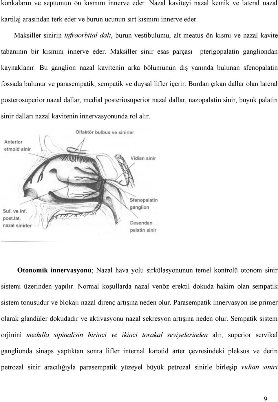 Bu ganglion nazal kavitenin arka bölümünün dış yanında bulunan sfenopalatin fossada bulunur ve parasempatik, sempatik ve duysal lifler içerir.