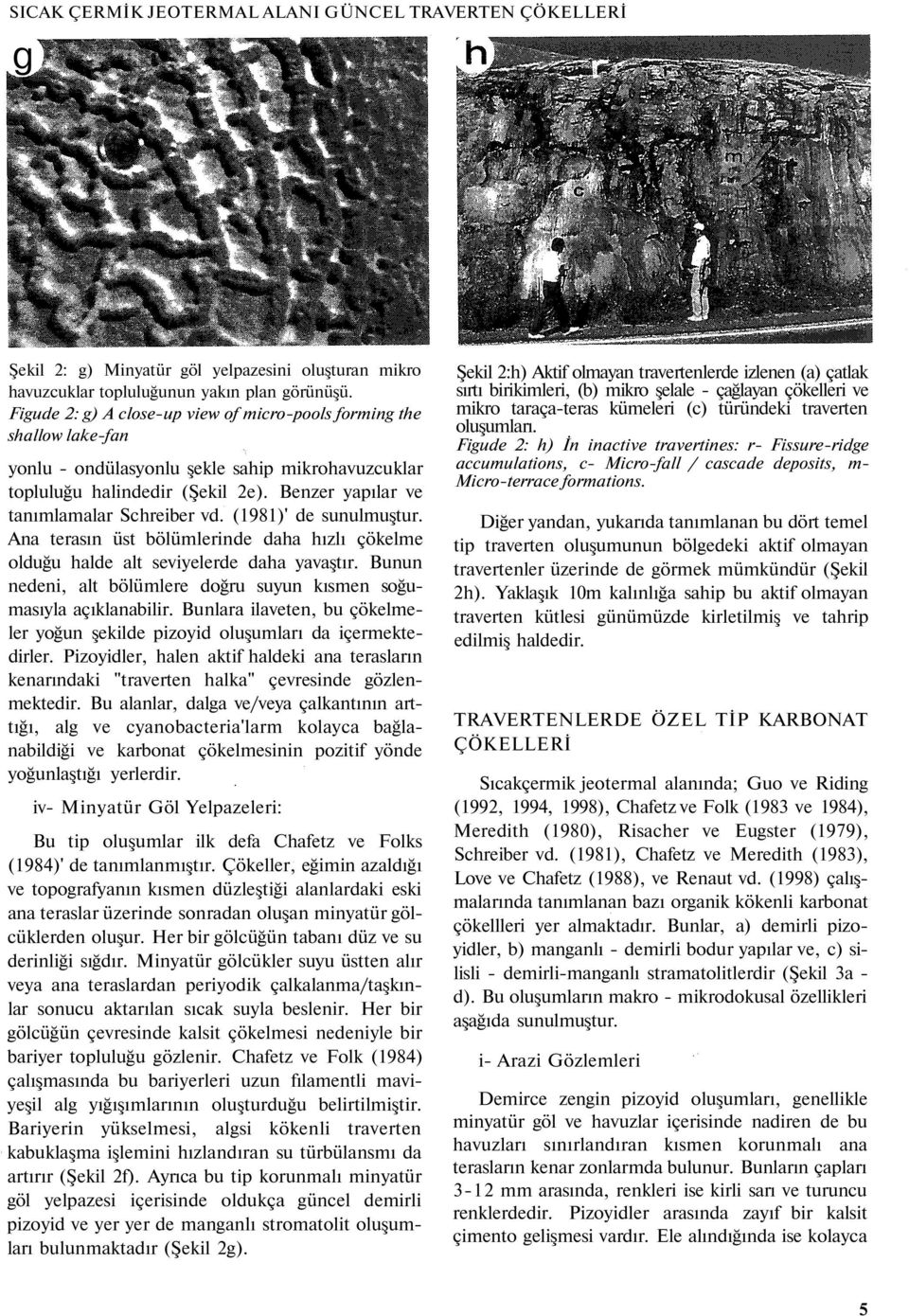 (1981)' de sunulmuştur. Ana terasın üst bölümlerinde daha hızlı çökelme olduğu halde alt seviyelerde daha yavaştır. Bunun nedeni, alt bölümlere doğru suyun kısmen soğumasıyla açıklanabilir.