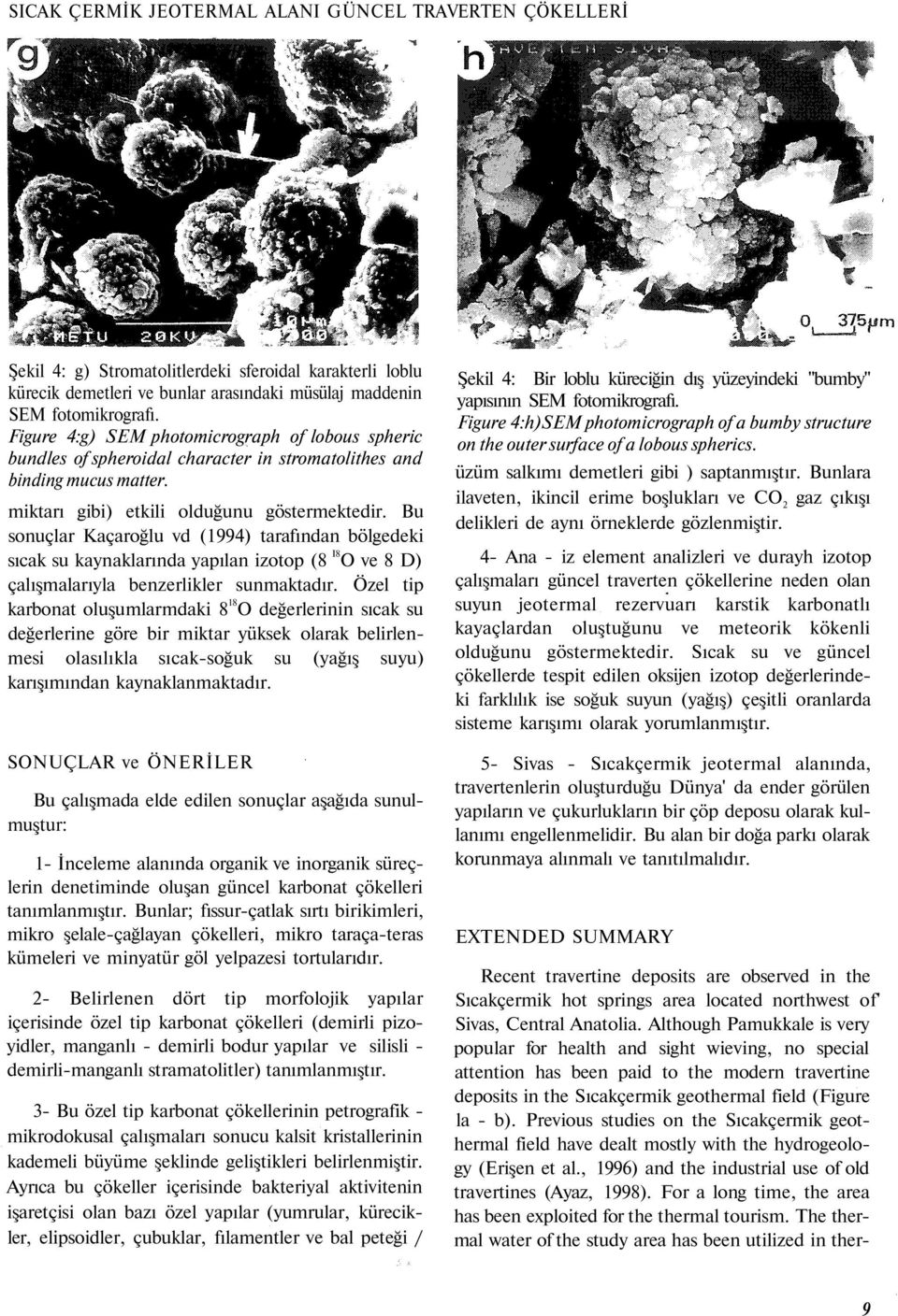 Bu sonuçlar Kaçaroğlu vd (1994) tarafından bölgedeki sıcak su kaynaklarında yapılan izotop (8 I8 O ve 8 D) çalışmalarıyla benzerlikler sunmaktadır.