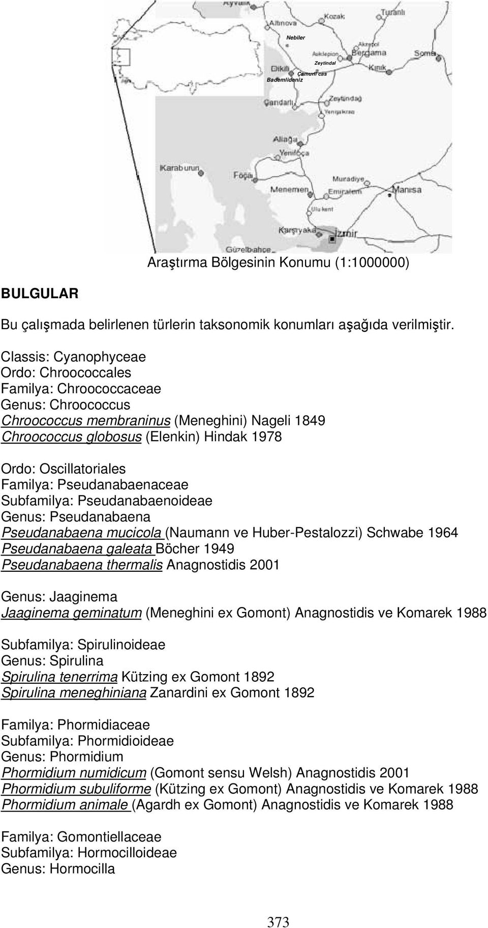 Familya: Pseudanabaenaceae Subfamilya: Pseudanabaenoideae Genus: Pseudanabaena Pseudanabaena mucicola (Naumann ve Huber-Pestalozzi) Schwabe 1964 Pseudanabaena galeata Böcher 1949 Pseudanabaena