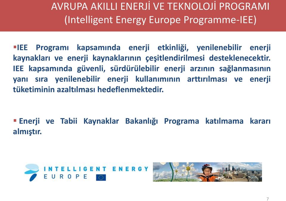 IEE kapsamında güvenli, sürdürülebilir enerji arzının sağlanmasının yanı sıra yenilenebilir enerji kullanımının