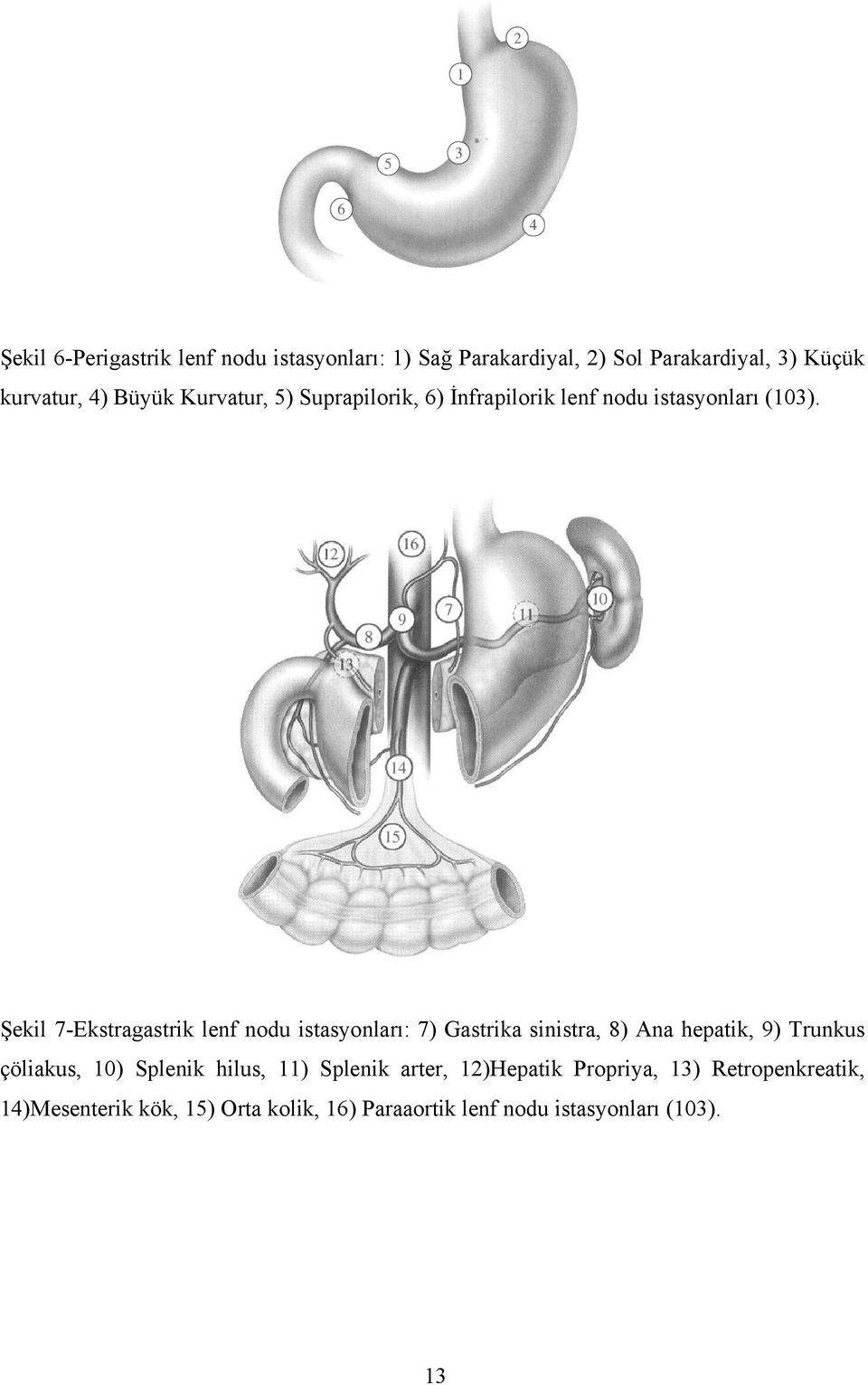 Şekil 7-Ekstragastrik lenf nodu istasyonları: 7) Gastrika sinistra, 8) Ana hepatik, 9) Trunkus çöliakus, 10)