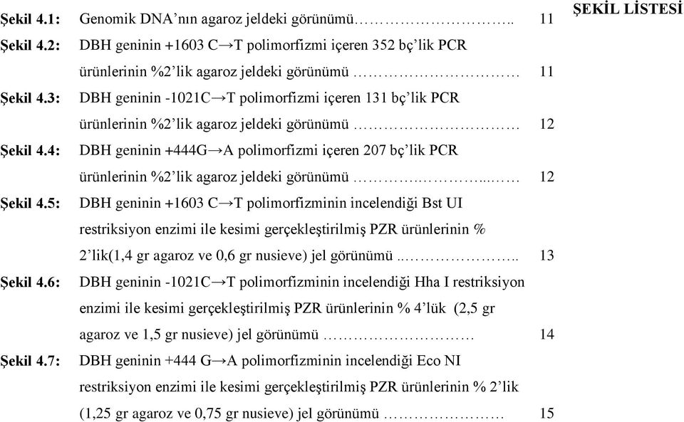 4: DBH geninin +444G A polimorfizmi içeren 207 bç lik PCR ürünlerinin %2 lik agaroz jeldeki görünümü.... 12 Şekil 4.