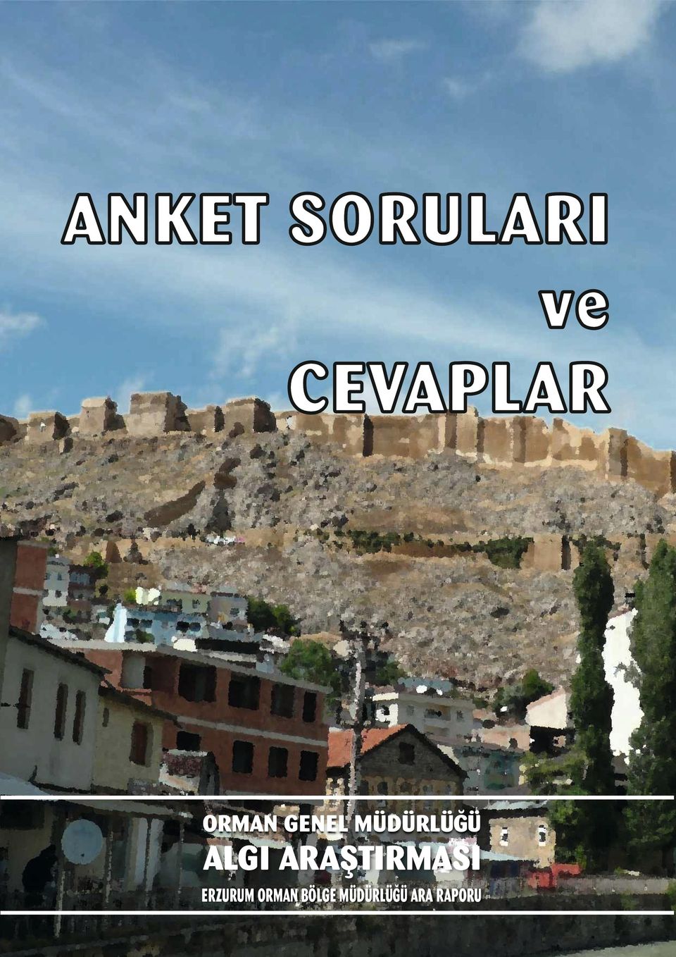 ARAŞTIRMASI ERZURUM ORMAN