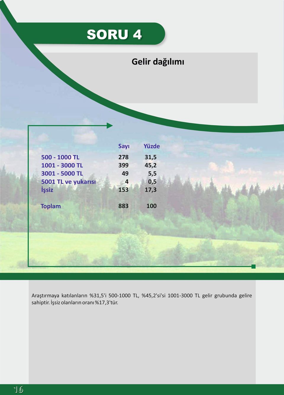 883 100 Araştırmaya katılanların %31,5'i 500-1000 TL, %45,2'si'si