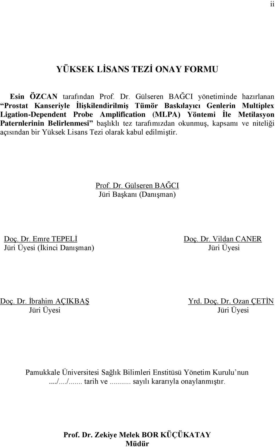 Paternlerinin Belirlenmesi başlıklı tez tarafımızdan okunmuş, kapsamı ve niteliği açısından bir Yüksek Lisans Tezi olarak kabul edilmiştir. Prof. Dr.