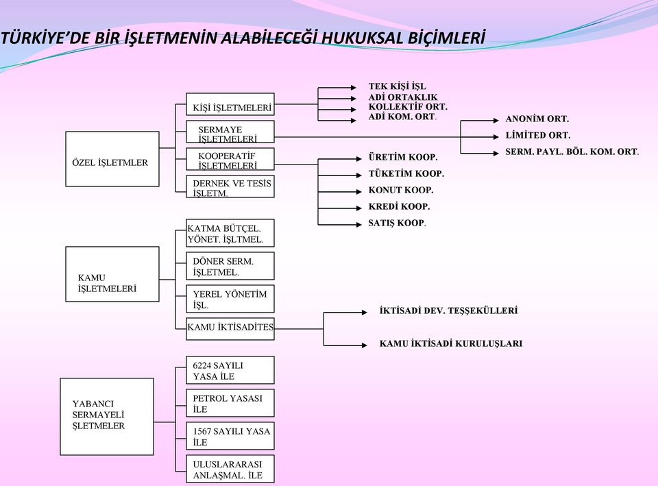 BÖL. KOM. ORT. KATMA BÜTÇEL. YÖNET. İŞLTMEL. SATIŞ KOOP. KAMU İŞLETMELERİ YABANCI SERMAYELİ ŞLETMELER DÖNER SERM. İŞLETMEL. YEREL YÖNETİM İŞL.