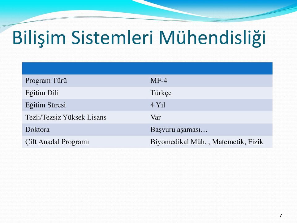 Lisans Doktora Çift Anadal Programı MF-4 Türkçe 4