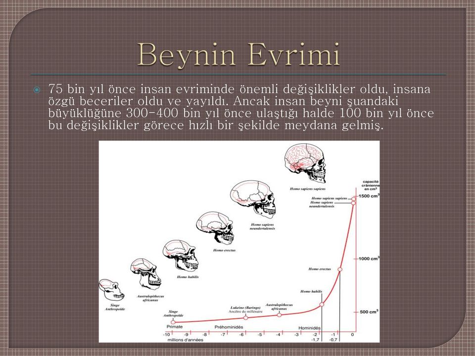 Ancak insan beyni şuandaki büyüklüğüne 300-400 bin yıl önce