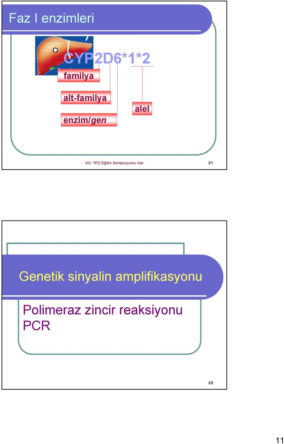 TFD Eğitim Sempozyumu Van 21 Genetik