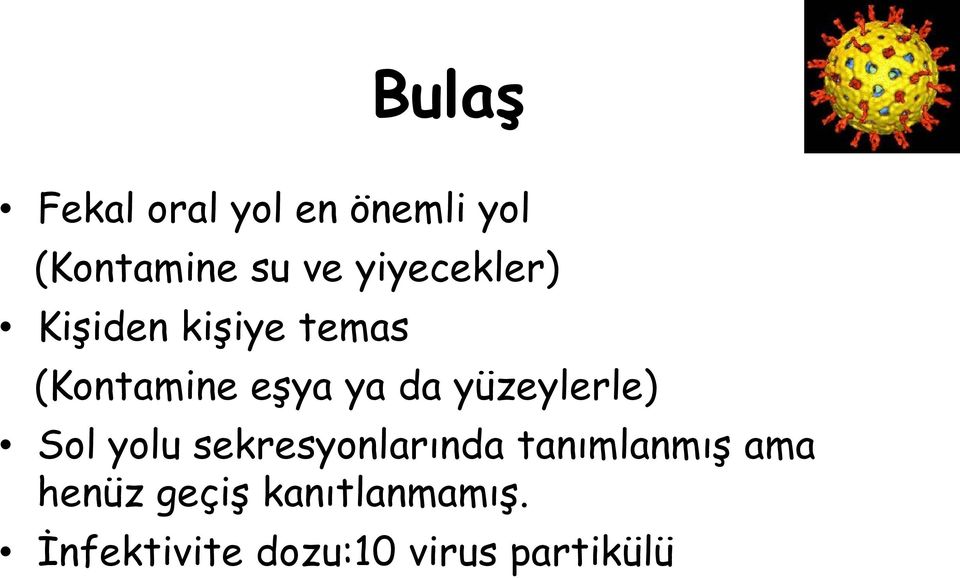 yüzeylerle) Sol yolu sekresyonlarında tanımlanmış ama