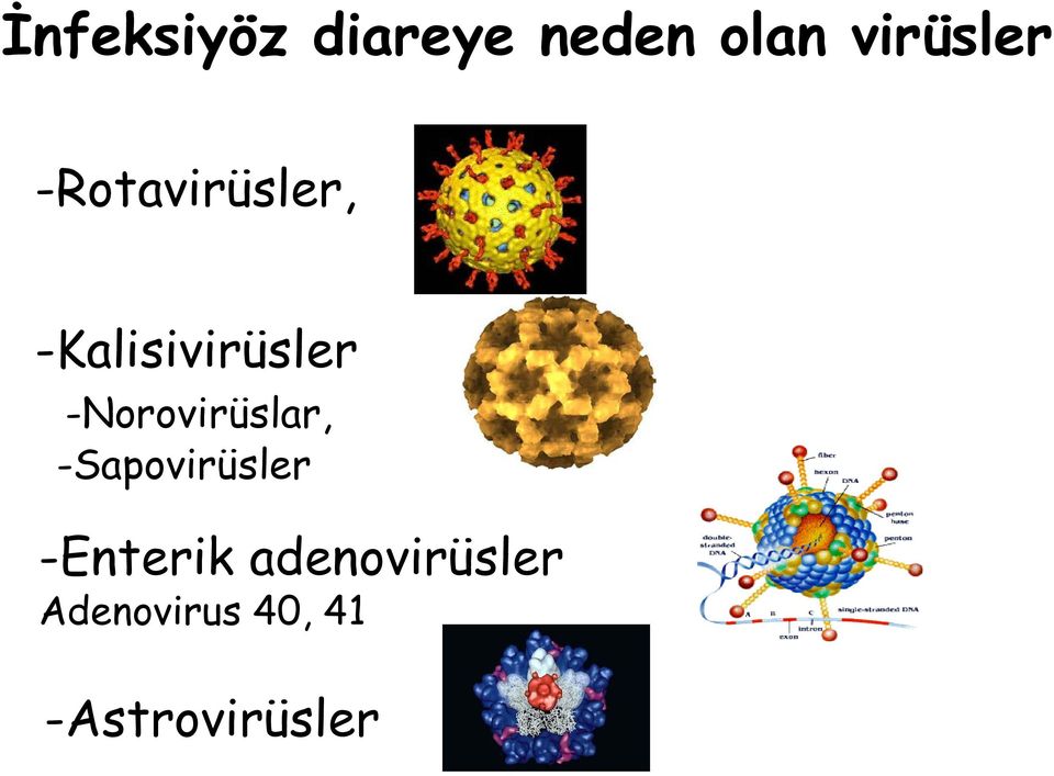 -Norovirüslar, -Sapovirüsler -Enterik