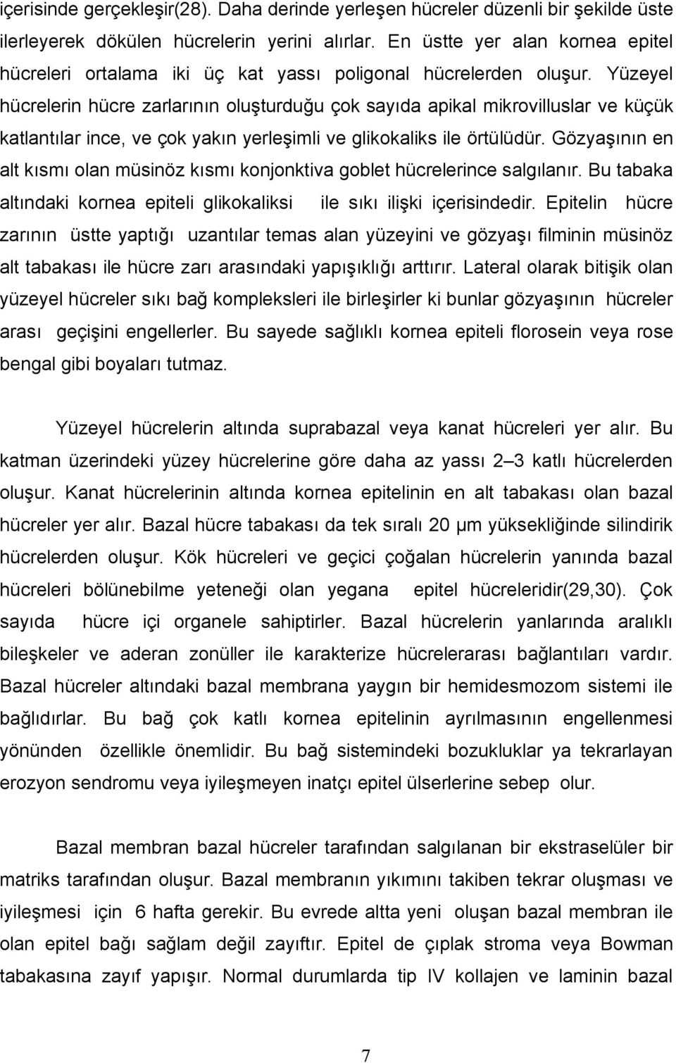 Yüzeyel hücrelerin hücre zarlarının oluşturduğu çok sayıda apikal mikrovilluslar ve küçük katlantılar ince, ve çok yakın yerleşimli ve glikokaliks ile örtülüdür.