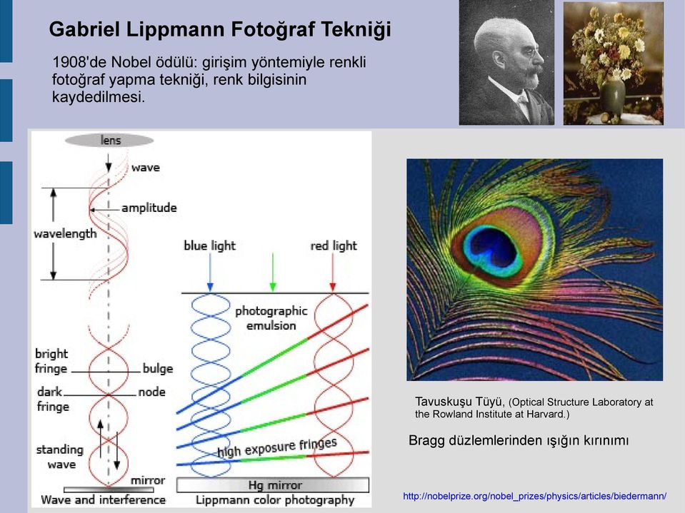 Tavuskuşu Tüyü, (Optical Structure Laboratory at the Rowland Institute at