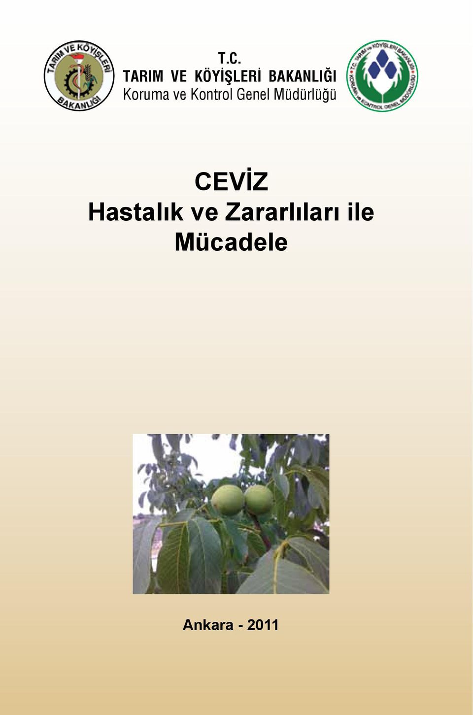 Genel Müdürlüğü CEVİZ Hastalık