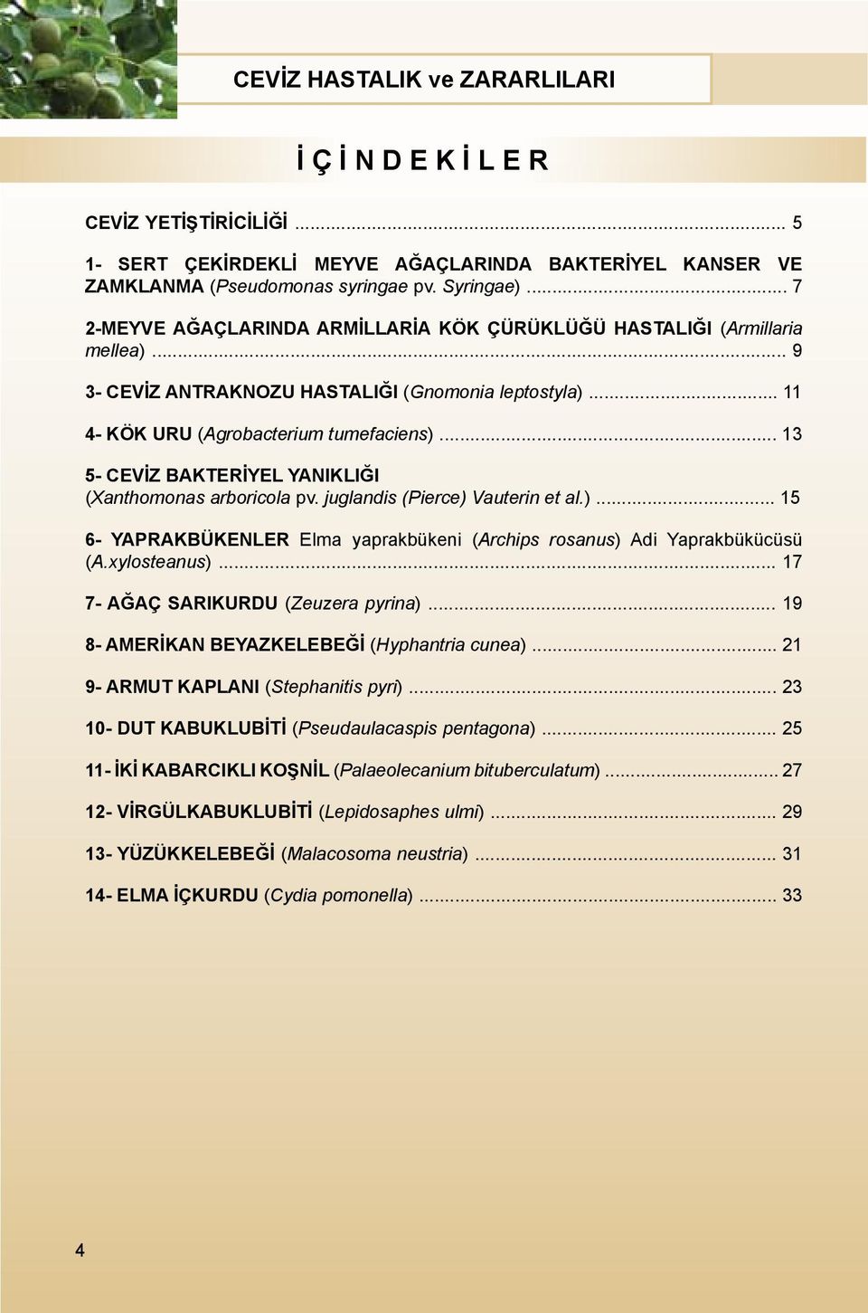 .. 13 5- CEVİZ BAKTERİYEL YANIKLIĞI (Xanthomonas arboricola pv. juglandis (Pierce) Vauterin et al.)... 15 6- YAPRAKBÜKENLER Elma yaprakbükeni (Archips rosanus) Adi Yaprakbükücüsü (A.xylosteanus).