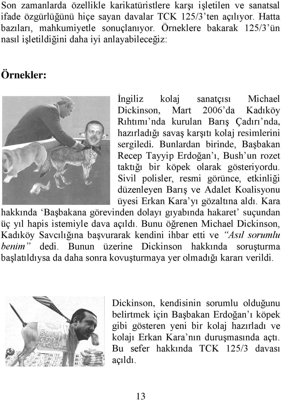 savaş karşıtı kolaj resimlerini sergiledi. Bunlardan birinde, Başbakan Recep Tayyip Erdoğan ı, Bush un rozet taktığı bir köpek olarak gösteriyordu.