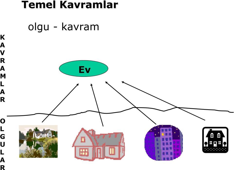 R olgu - kavram