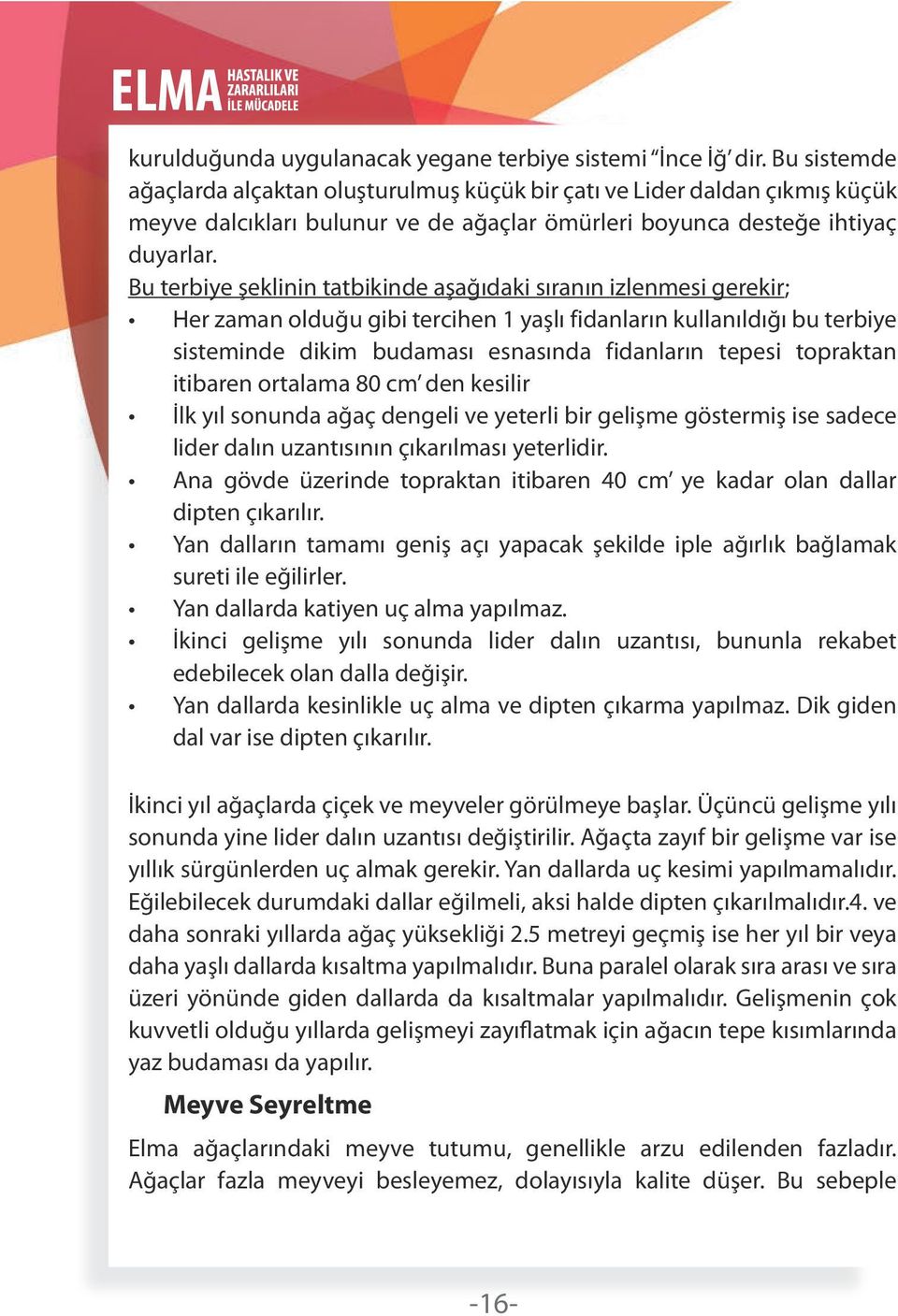 Bu terbiye şeklinin tatbikinde aşağıdaki sıranın izlenmesi gerekir; Her zaman olduğu gibi tercihen 1 yaşlı fidanların kullanıldığı bu terbiye sisteminde dikim budaması esnasında fidanların tepesi