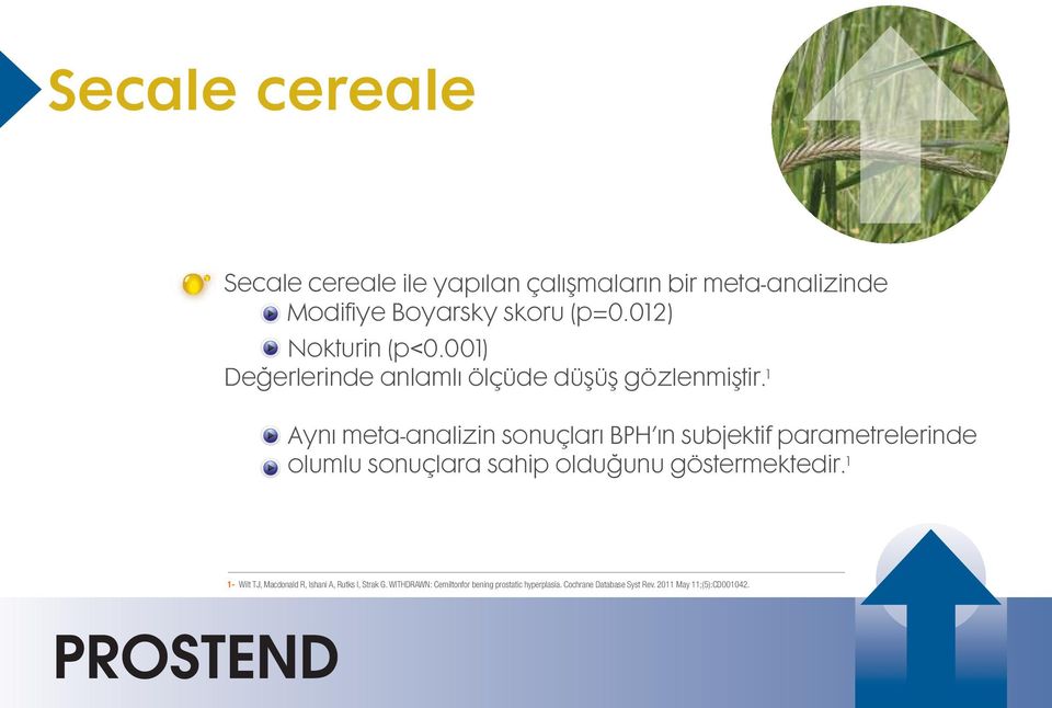 1 12 Aynı meta-analizin sonuçları BPH ın subjektif parametrelerinde olumlu sonuçlara sahip olduğunu