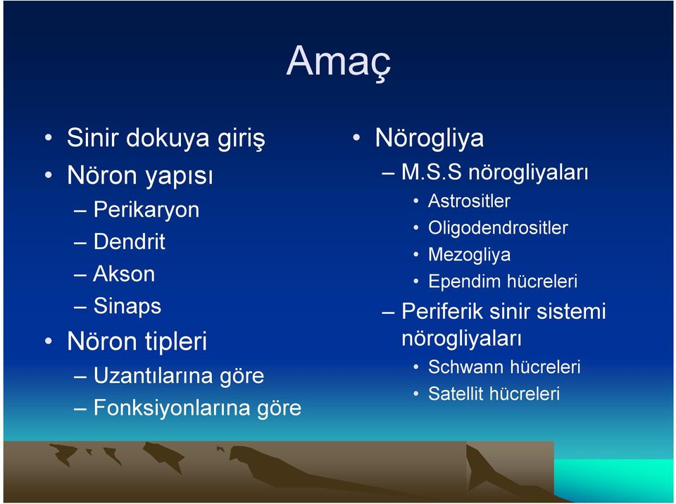 S nörogliyaları Astrositler Oligodendrositler Mezogliya Ependim