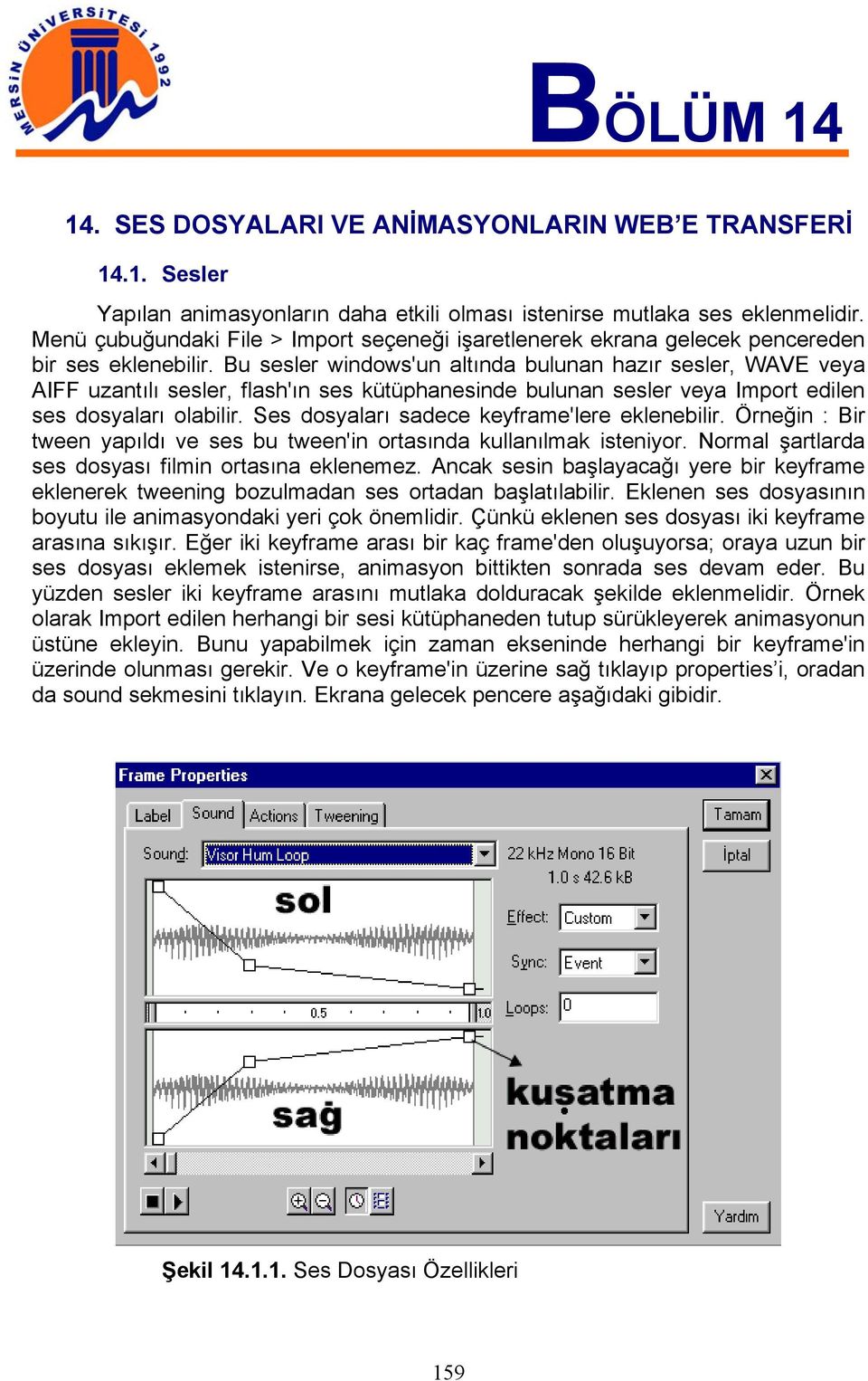 Bu sesler windows'un altında bulunan hazır sesler, WAVE veya AIFF uzantılı sesler, flash'ın ses kütüphanesinde bulunan sesler veya Import edilen ses dosyaları olabilir.