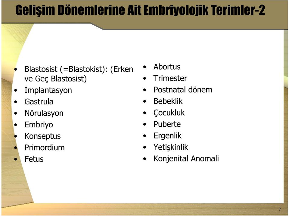 Nörulasyon Embriyo Konseptus Primordium Fetus Abortus Trimester