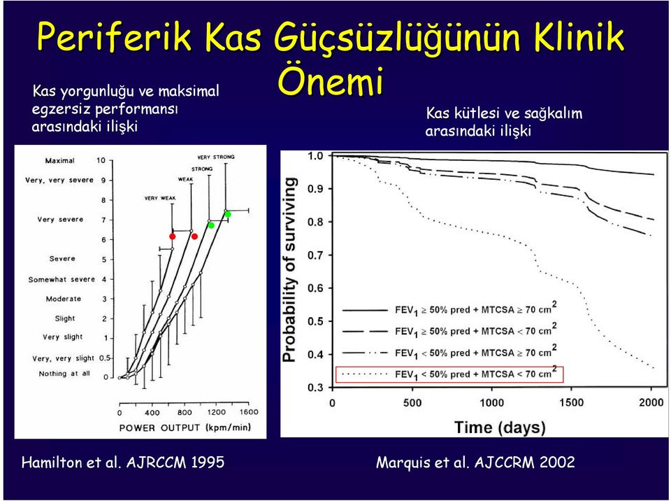 arasındaki ilişki Önemi Kas kütlesi ve sağkalım