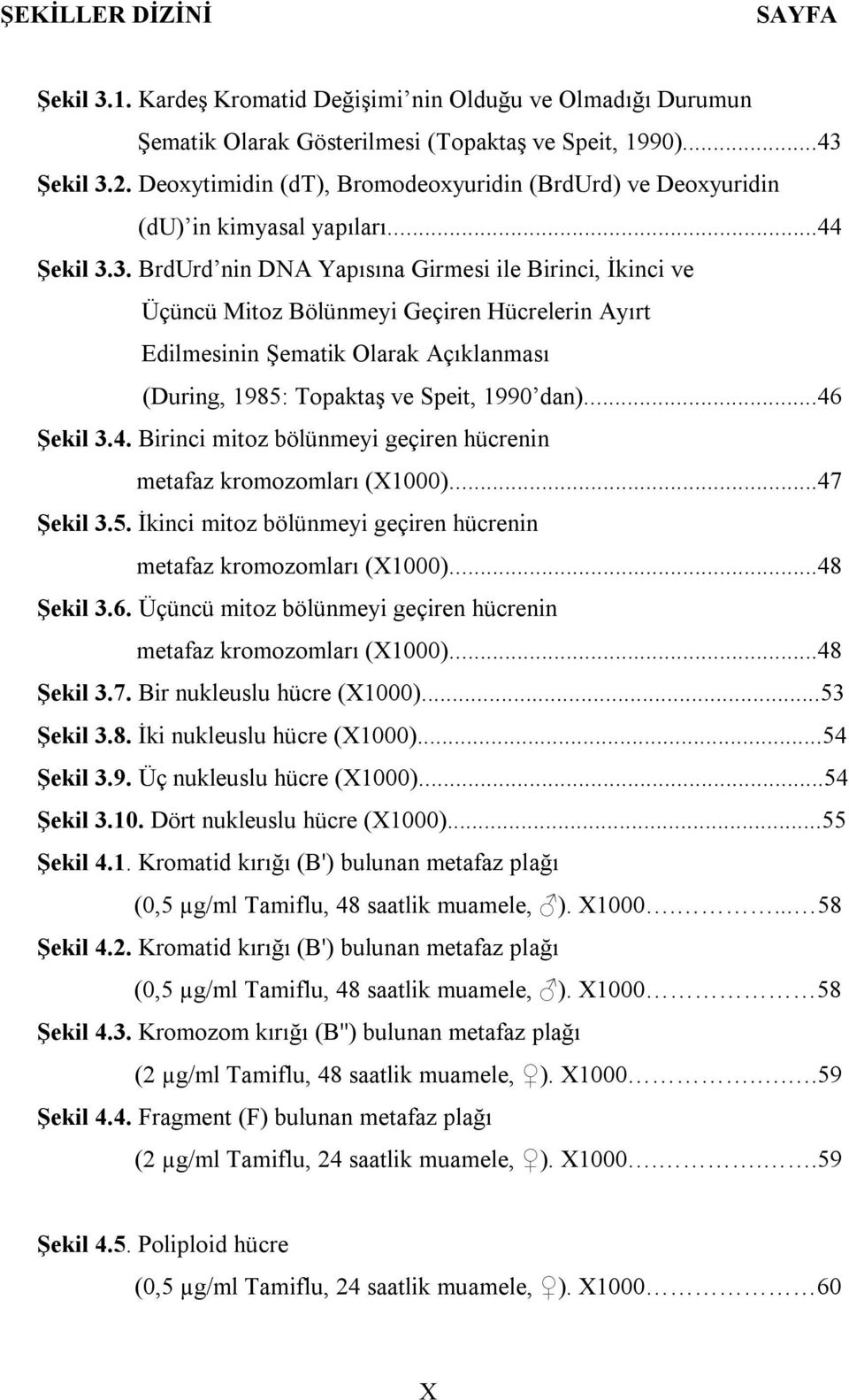 3. BrdUrd nin DNA Yapısına Girmesi ile Birinci, İkinci ve Üçüncü Mitoz Bölünmeyi Geçiren Hücrelerin Ayırt Edilmesinin Şematik Olarak Açıklanması (During, 1985: Topaktaş ve Speit, 1990 dan)...46 Şekil 3.