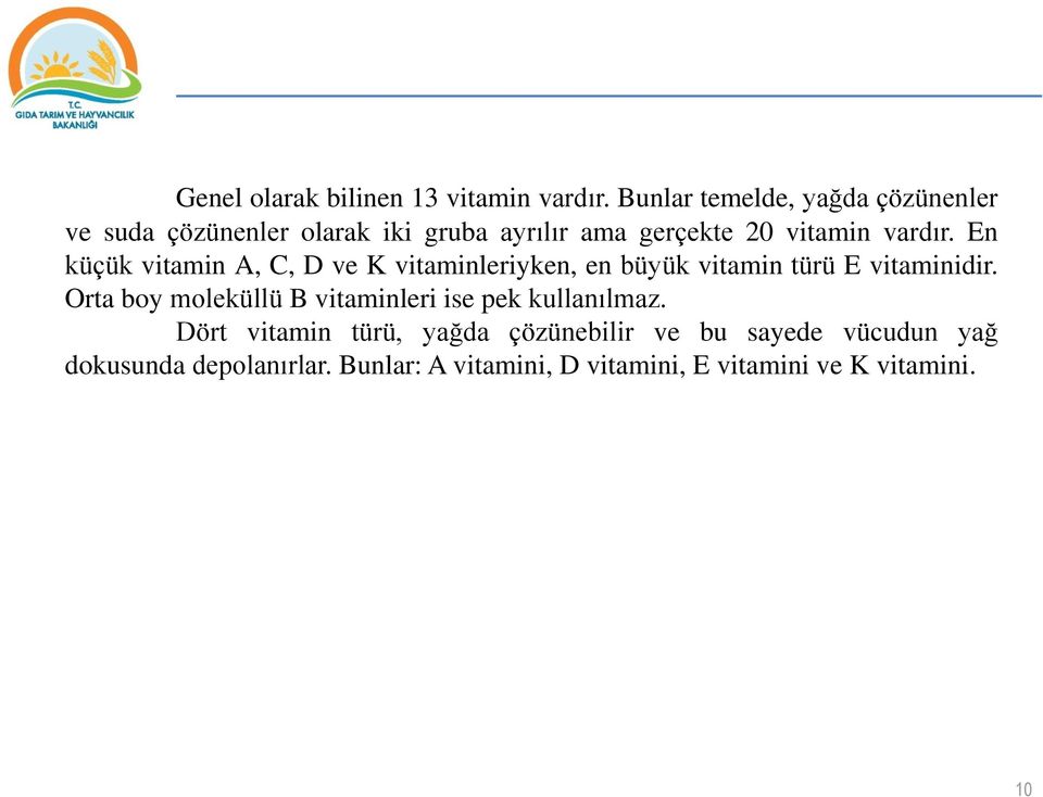 En küçük vitamin A, C, D ve K vitaminleriyken, en büyük vitamin türü E vitaminidir.