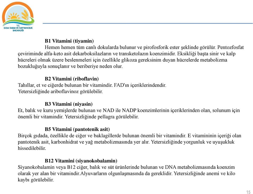 B2 Vitamini (riboflavin) Tahıllar, et ve ciğerde bulunan bir vitamindir. FAD'ın içeriklerindendir. Yetersizliğinde ariboflavinoz görülebilir.