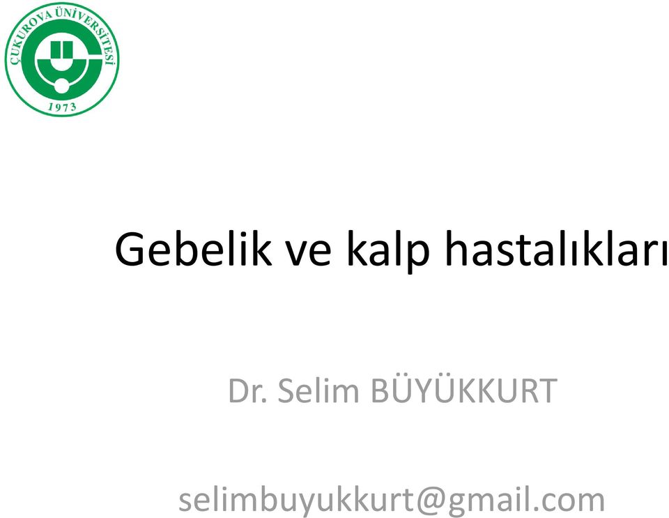 Selim BÜYÜKKURT
