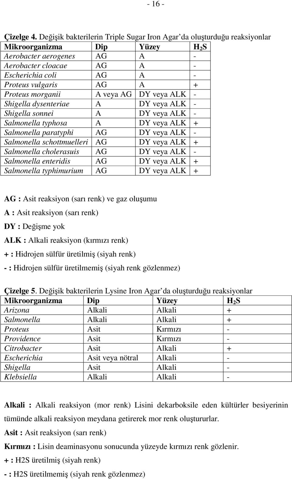 AG A + Proteus morganii A veya AG DY veya ALK - Shigella dysenteriae A DY veya ALK - Shigella sonnei A DY veya ALK - Salmonella typhosa A DY veya ALK + Salmonella paratyphi AG DY veya ALK -