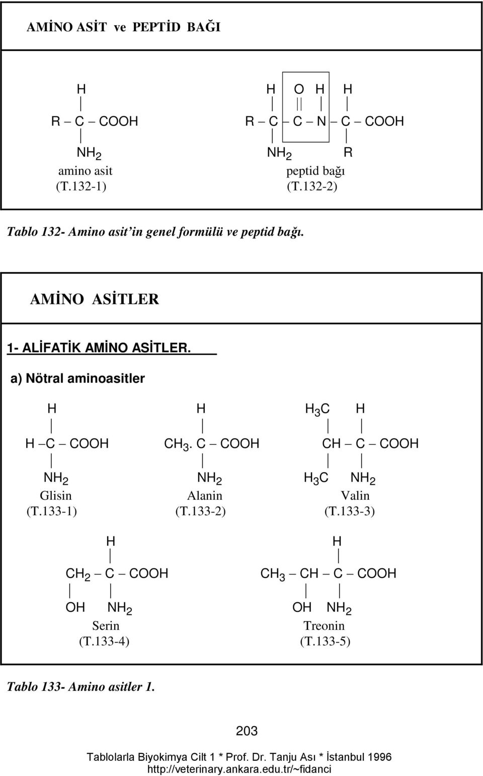 a) Nötral aminoasitler H H H 3 C H H C COOH CH 3. C COOH CH C COOH NH 2 NH 2 H 3 C NH 2 Glisin Alanin Valin (T.