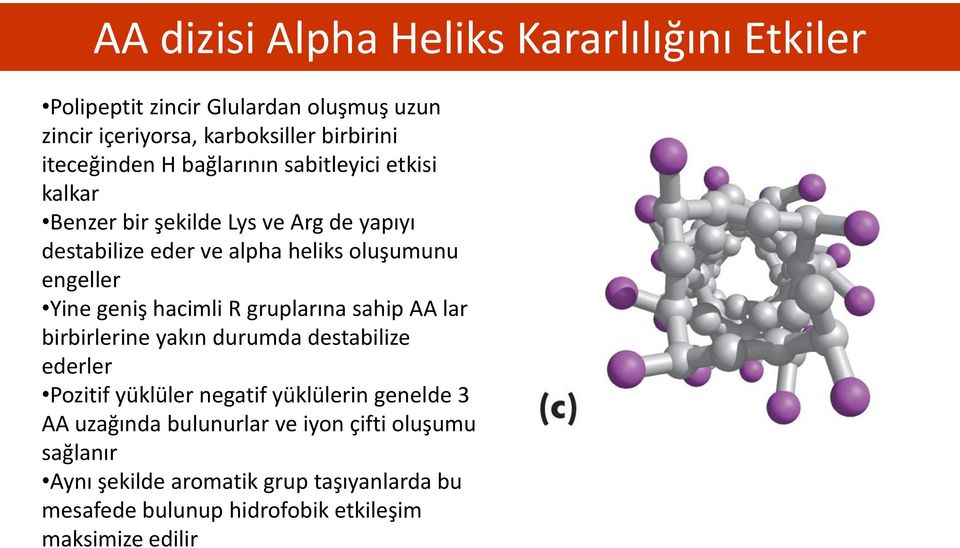 geniş hacimli R gruplarına sahip AA lar birbirlerine yakın durumda destabilize ederler Pozitif yüklüler negatif yüklülerin genelde 3 AA