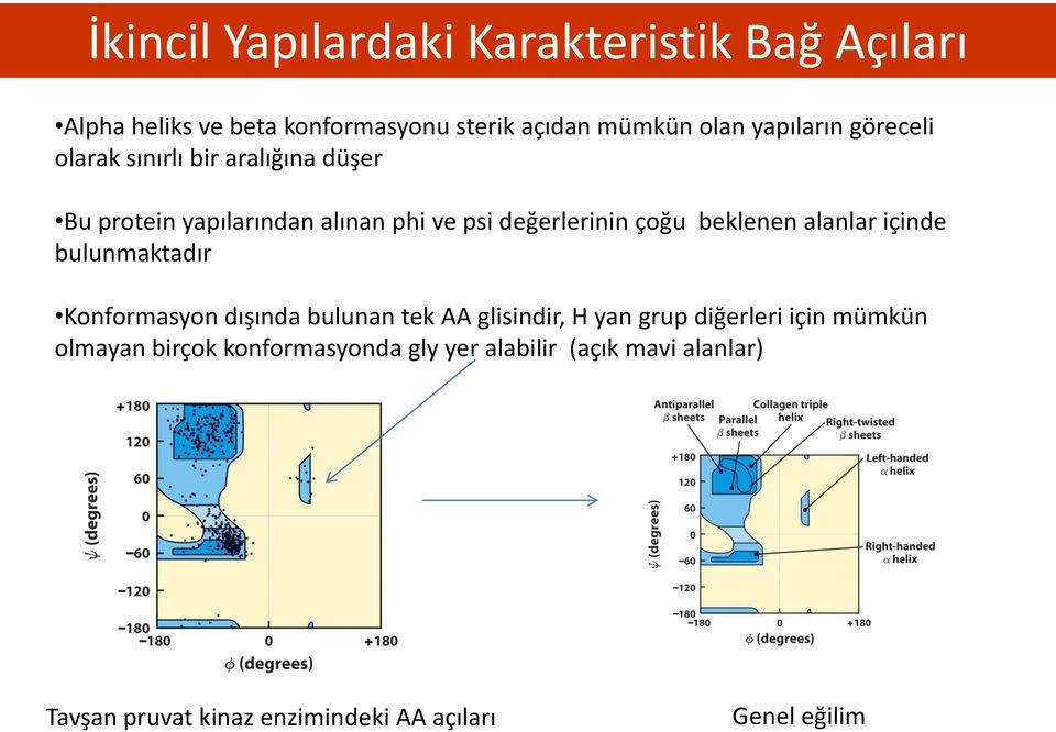 beklenen alanlar içinde bulunmaktadır Konformasyon dışında bulunan tek AA glisindir, H yan grup diğerleri için