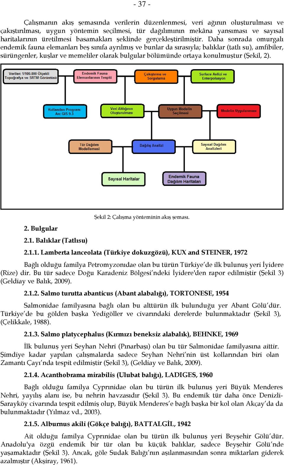 Daha sonrada omurgalı endemik fauna elemanları beş sınıfa ayrılmış ve bunlar da sırasıyla; balıklar (tatlı su), amfibiler, sürüngenler, kuşlar ve memeliler olarak bulgular bölümünde ortaya