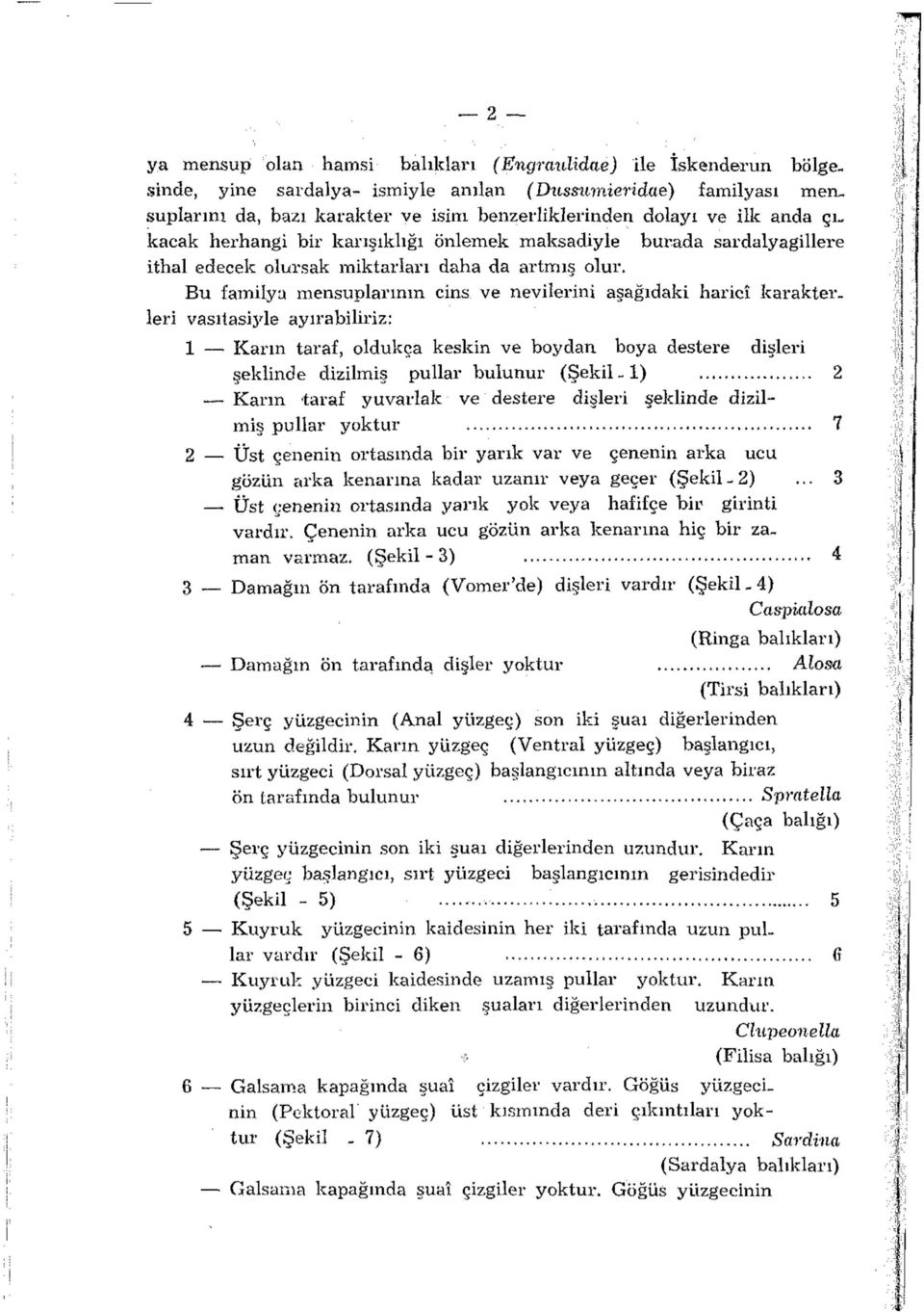 burada sardalyagillere Bu familya mensuplarının cins ve nevilerini aşağıdaki haricî karakterleri vasıtasiyle ayırabiliriz: 1 Karın taraf, oldukça keskin ve boydan boya destere dişleri şeklinde